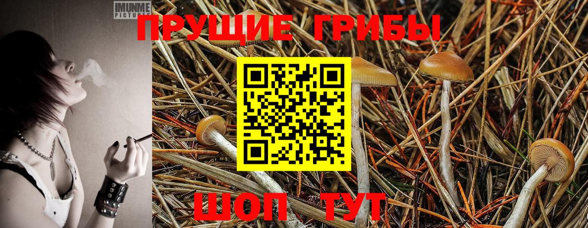 Лесосибирск  Псилоцибиновые грибы ЛСД  Вход с VPN 